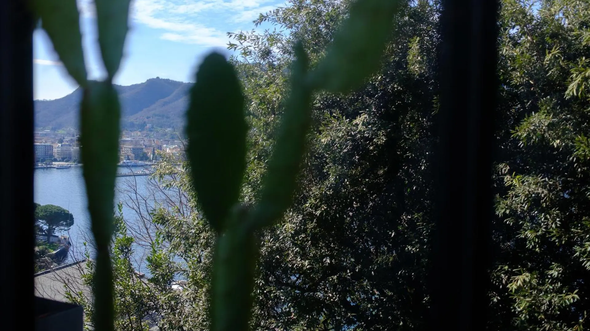 Apartment Veranda Lake View Como